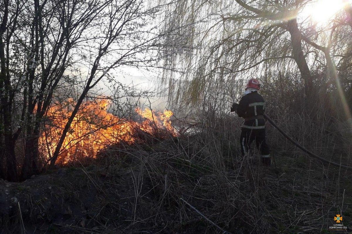 На Тернопільщині горить Чистилівський орнітологічний заказник