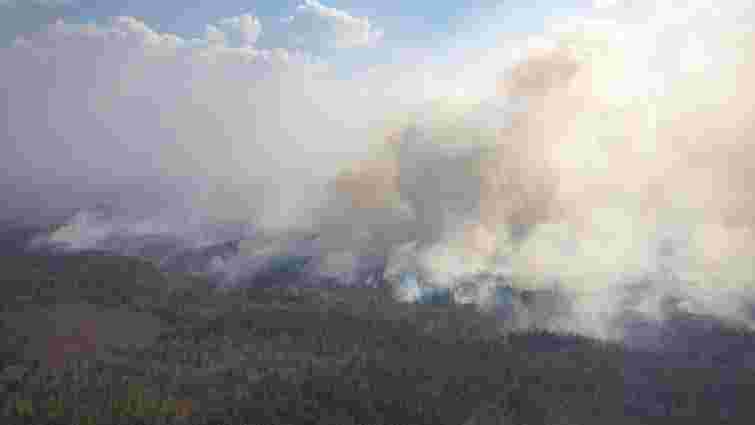 МВС розглядає підпал як версію лісових пожеж на Житомирщині