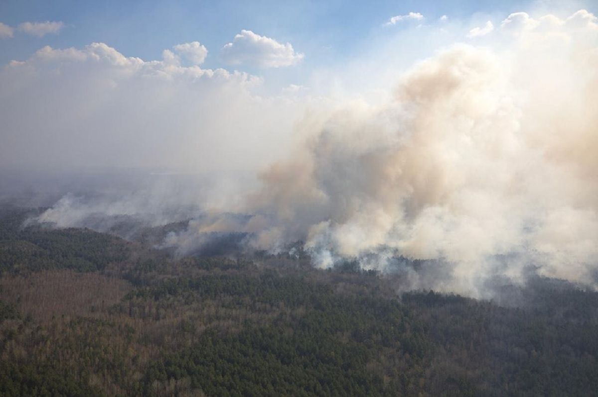 МВС розглядає підпал як версію лісових пожеж на Житомирщині