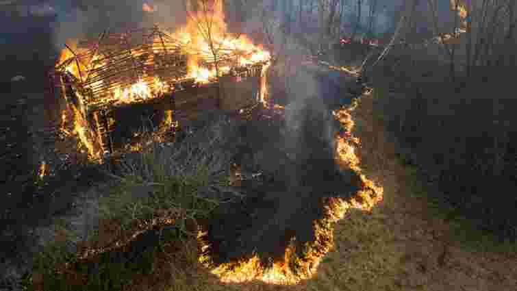 Причиною масштабних пожеж на Житомирщині може бути падіння дерева на електродроти