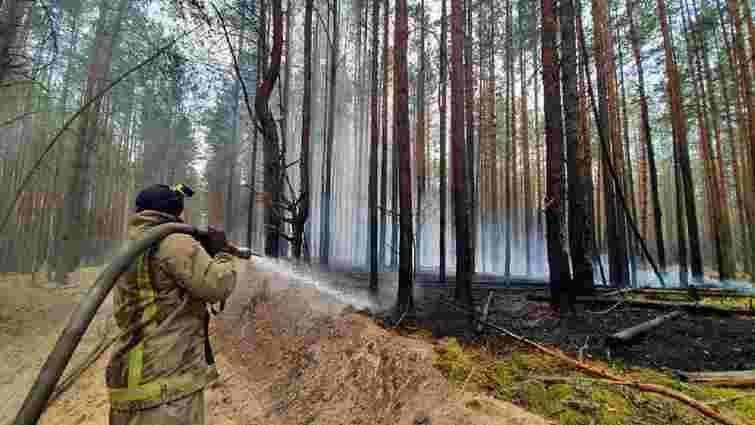 На Київщині та Житомирщині локалізували усі осередки лісових пожеж