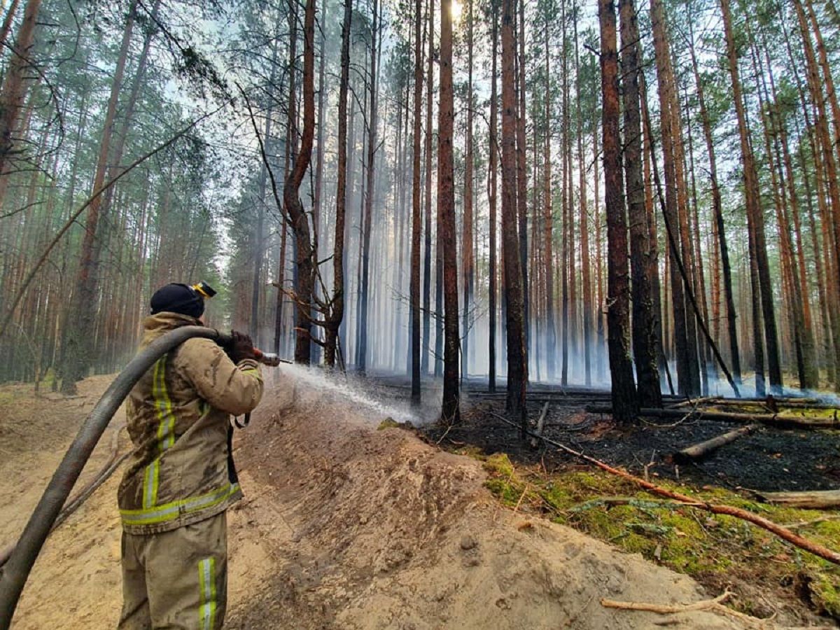 На Київщині та Житомирщині локалізували усі осередки лісових пожеж
