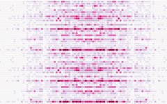У нашій області коронавірус вже минає? Пік пройшов?