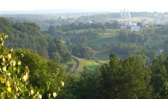 «Хтось собі заробляє бали на вибори»