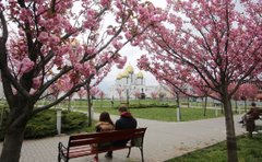 Головні новини Львова за 30 квітня