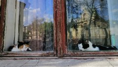 Головні новини Львова за 10 травня