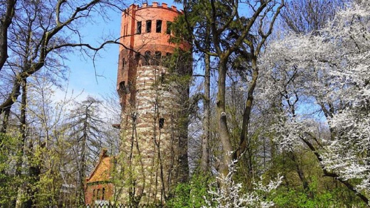 Власників ресторану у Стрийському парку оштрафували на 170 тис. грн