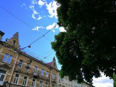 Головні новини Львова за 23 травня