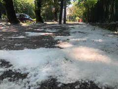 Головні новини Львова за 13 червня