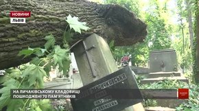Буревій пошкодив на Личаківському кладовищі сімдесят пам’ятників