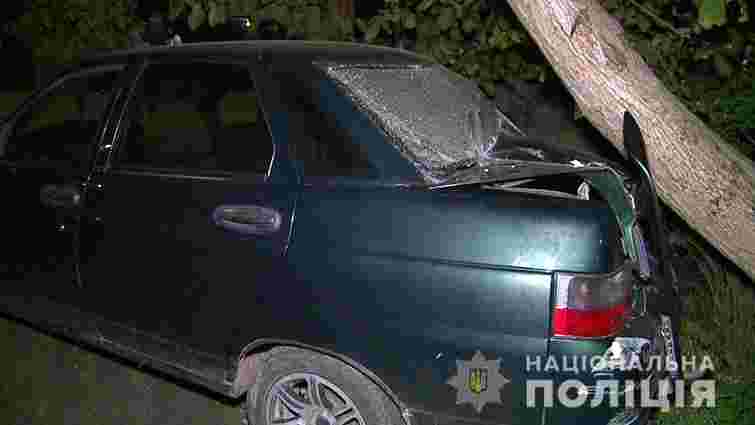 П'яна жінка на Вінниччині збила автомобілем чотирьох дітей