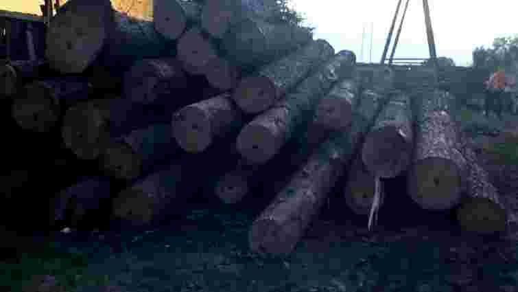 Головного інженера військового лісгоспу на Львівщині викрили на хабарі 2500 доларів