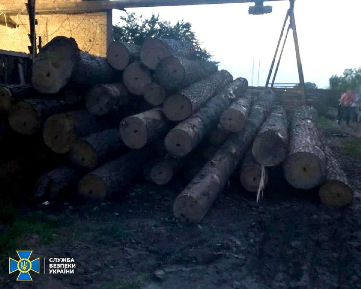 Головного інженера військового лісгоспу на Львівщині викрили на хабарі 2500 доларів