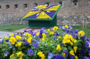 Головні новини Львова за 22 червня