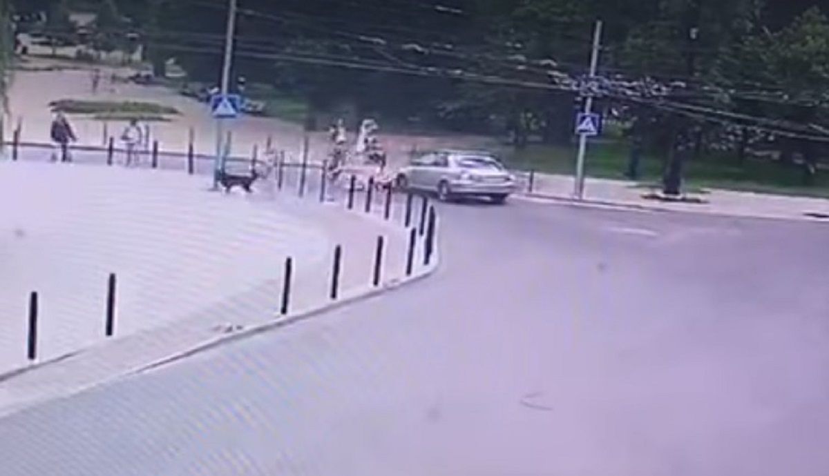 На вул. Шептицького водій Toyota збив дівчину на пішохідному переході