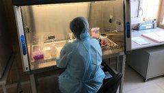 «Ситуація з лабораторіями критична»