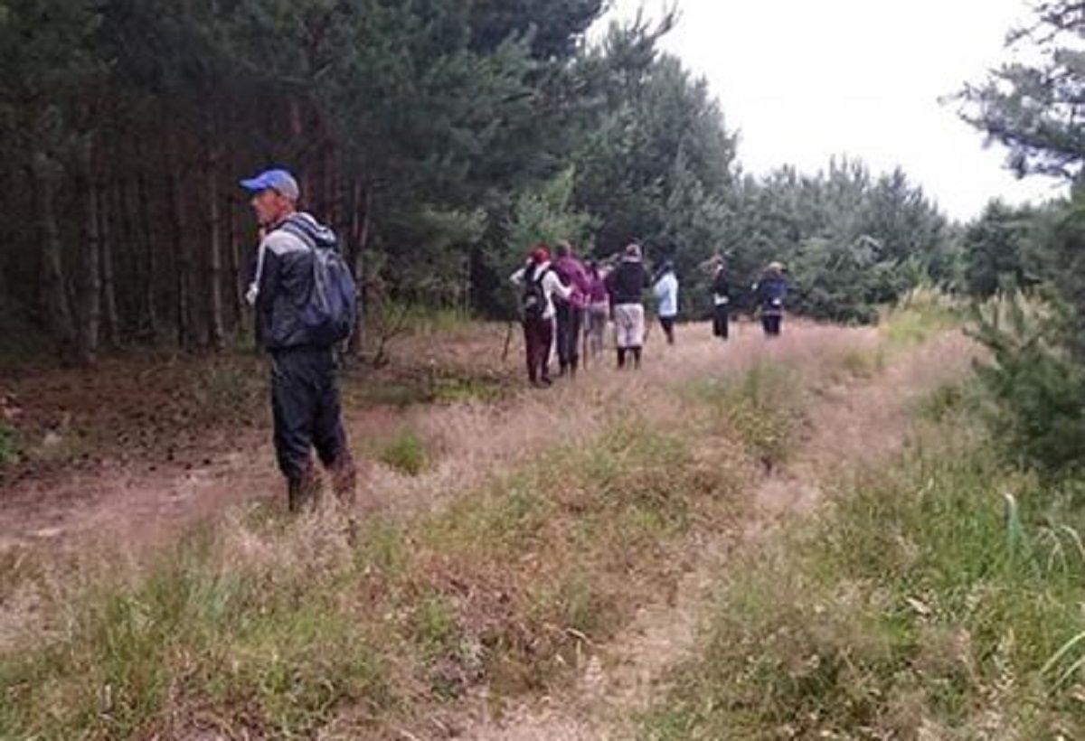 На Жовківщині п’ятий день шукають 59-річну жінку, яка зникла в пирятинському лісі