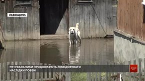 Мешканці підтоплених сіл на Старосамбірщині показали свої хати й городи після повені