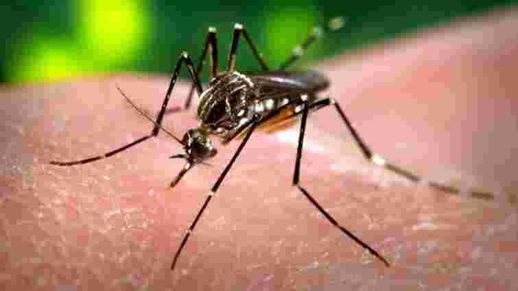Львівські медики виявили тропічну малярію у 46-річного чоловіка, який повернувся з Уганди