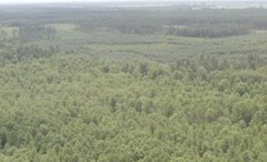 «Маю надію, що вона виживе»