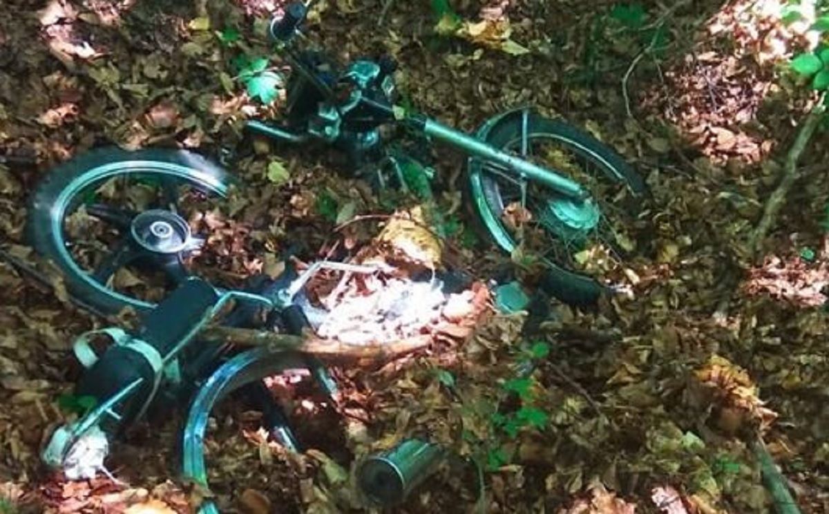 На Жовківщині двоє школярів вкрали мотоцикл та переховували його у лісі