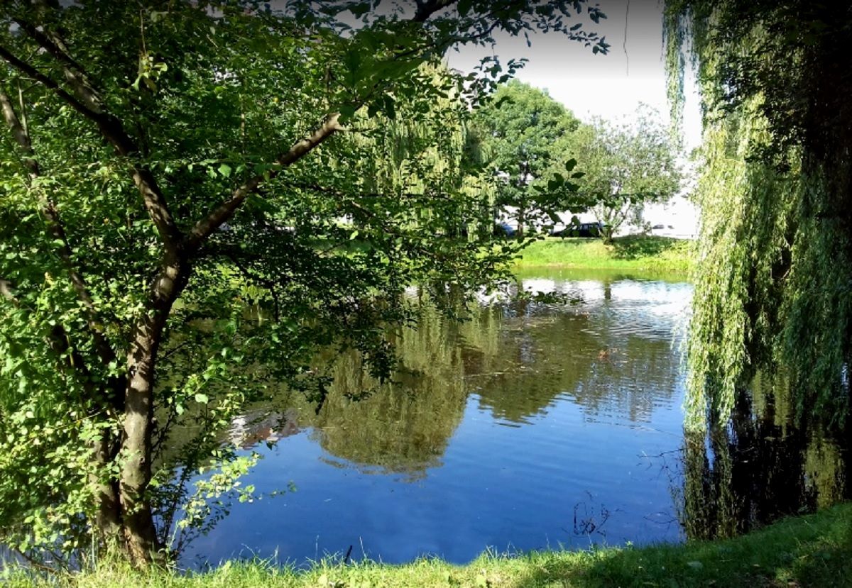 Цього року у Львові очистять шість водойм