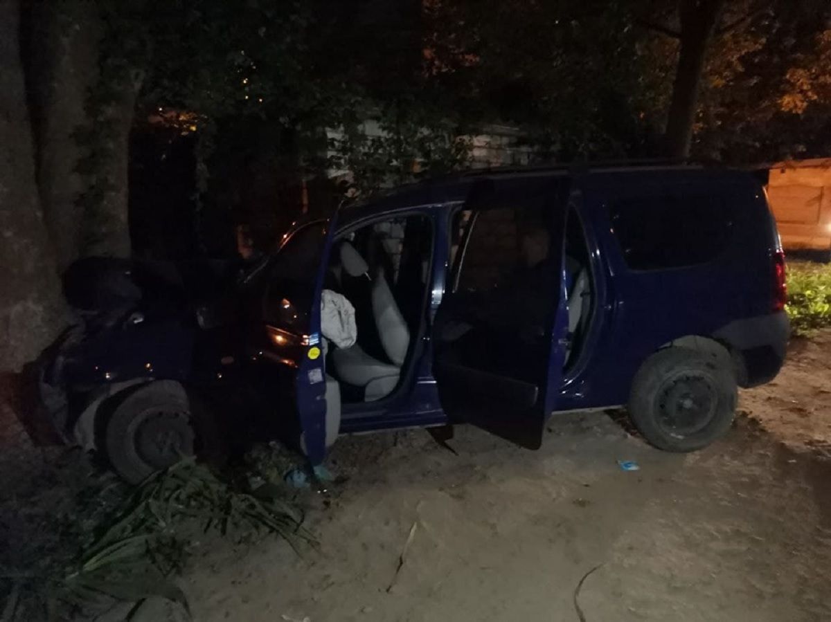 У Львові п’яний водій намагався втекти від патрульних та в’їхав у дерево