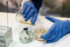 «Ось де влада»