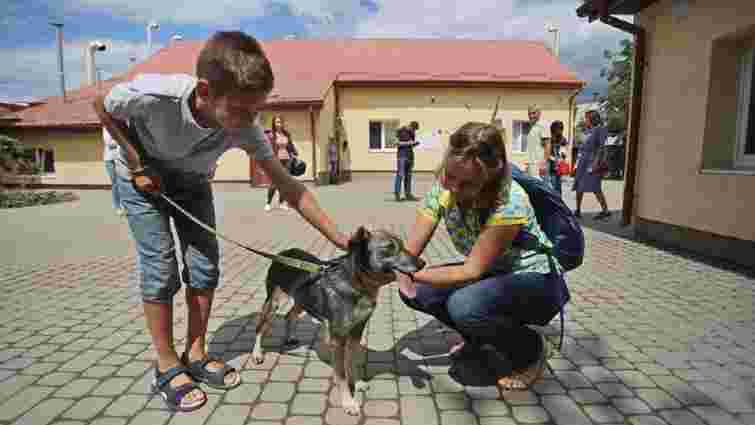 У Львові за допомогою мобільного додатку порахують усіх безпритульних собак