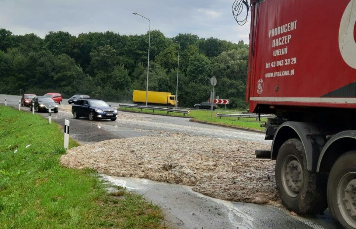 53-річний водій фури засипав дорогу під Львовом курячими тушками