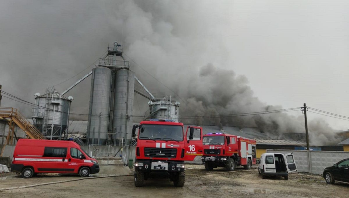 На Івано-Франківщині горів один з найбільших в Україні свинокомплексів