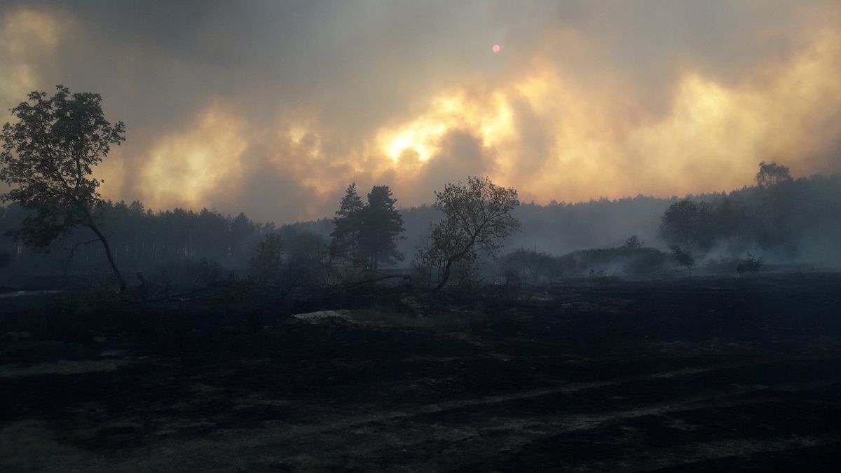 Рятувальники загасили масштабну лісову пожежу на Харківщині