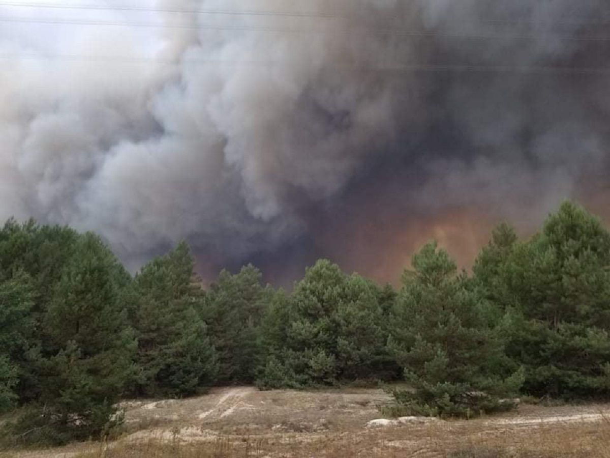 На полігоні під Києвом сталась масштабна пожежа