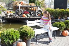 «Терапія рослинами і шопінг як медитація»