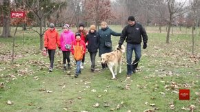 Завершився перший сезон всеукраїнського проекту про усиновлення «Рідні»