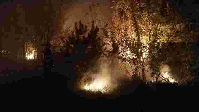 Десятки масштабних лісових пожеж спалахнули на Луганщині