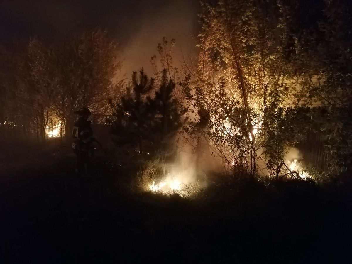 Десятки масштабних лісових пожеж спалахнули на Луганщині