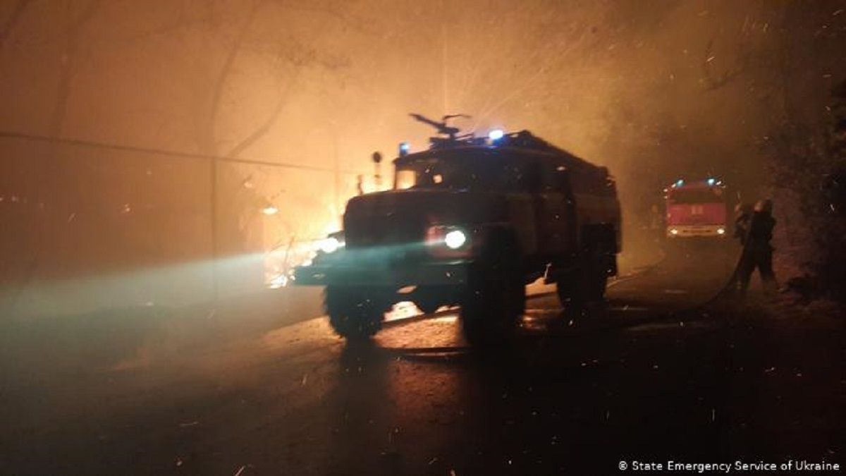 Дев'ятеро людей загинули внаслідок лісових пожеж на Луганщині