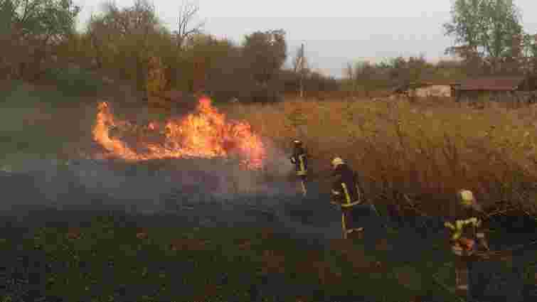 Пожежі на Луганщині спалахнули після підпалу російським терористом сухостою