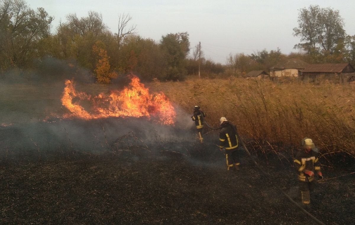 Пожежі на Луганщині спалахнули після підпалу російським терористом сухостою
