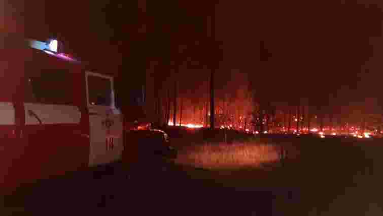 Кількість загиблих внаслідок пожеж на Луганщині зросла до 11 людей
