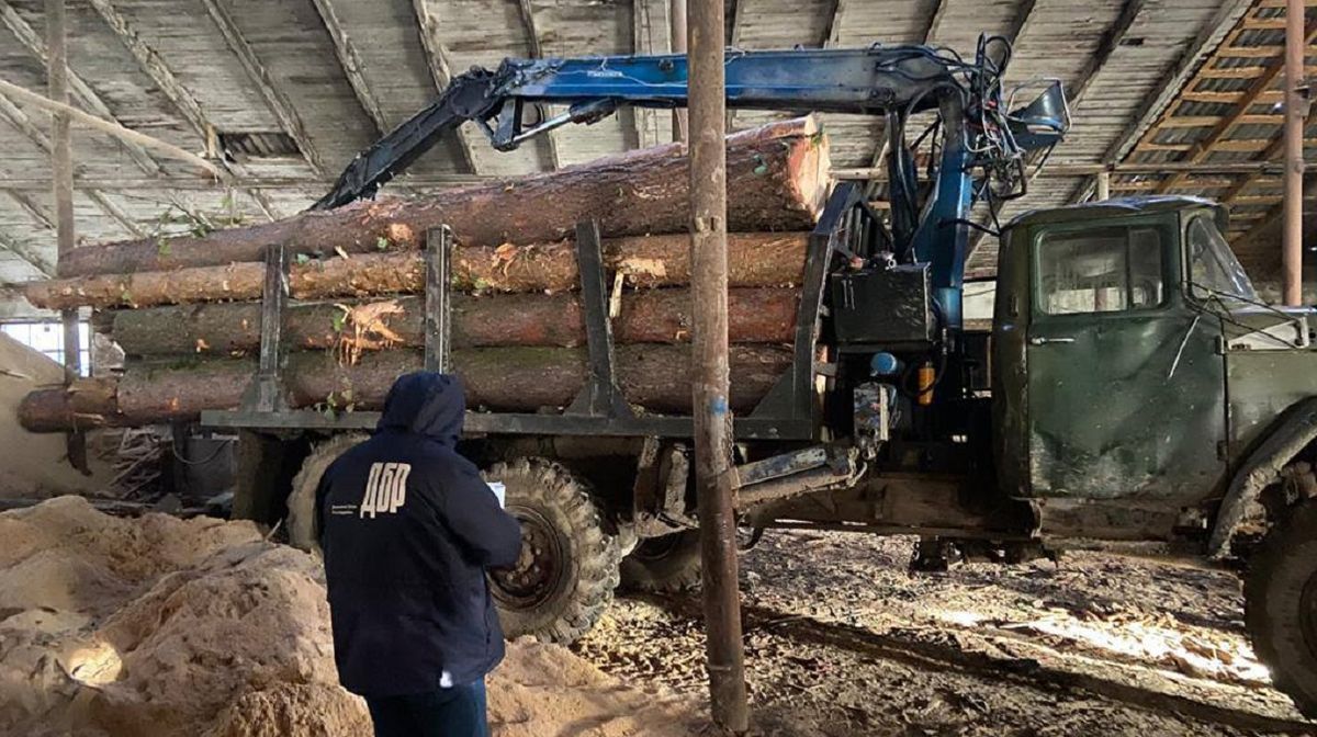 На Львівщині викрили схему незаконної вирубки та експорту лісу за кордон
