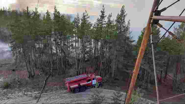 Рятувальники повністю ліквідували лісові пожежі на Луганщині