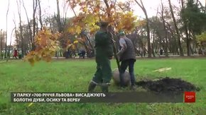 У парку «700-річчя Львова» висаджують нові дерева та кущі