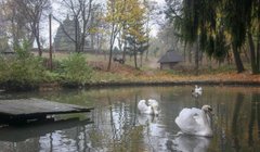 Головні новини Львова за 2 листопада