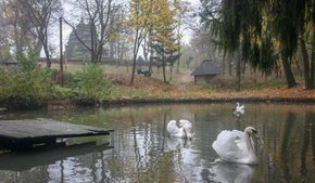 Головні новини Львова за 2 листопада