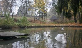 Головні новини Львова за 2 листопада