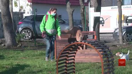У Львові з'явився новий тренувально-вигульний майданчик для собак