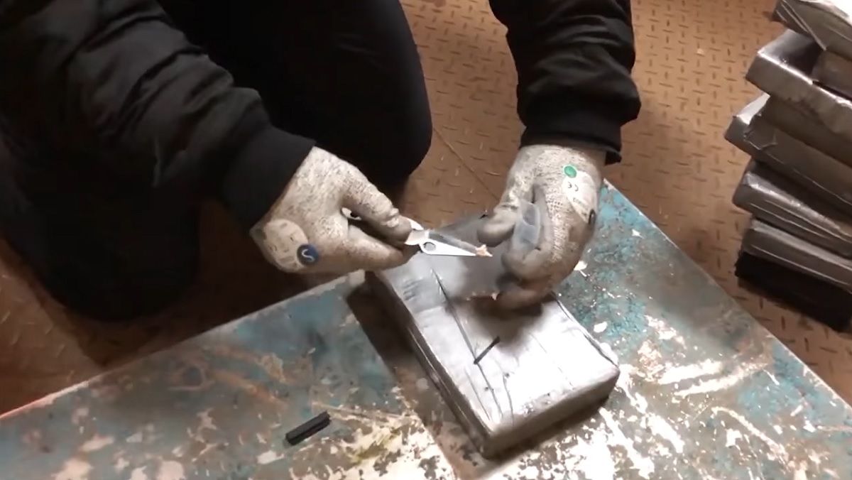 В одеському порту «Південний» затримали партію кокаїну на 4 млн доларів 