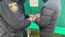 Львівська поліція попередила спробу залити бюлетені зеленкою